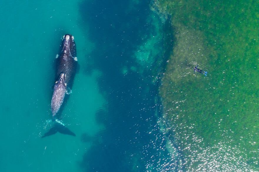 melhores-fotografias-tiradas-drones-201712