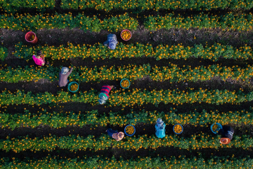 melhores-fotografias-tiradas-drones-20175