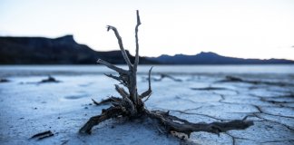 Planeta Terra irá atingir ponto de não retorno em 2035